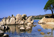 开云体育官网-2026世界杯F组风云，福登致命一击，法国进攻端全面爆发击溃越南